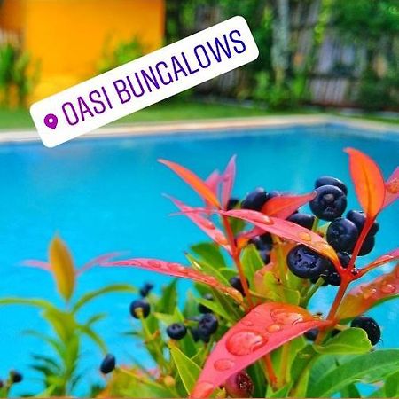 Oasi Bungalows Hotel Gili Air Exterior foto